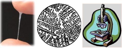 怕她不来又怕她乱来的文案,怕她不来又怕她乱来出处