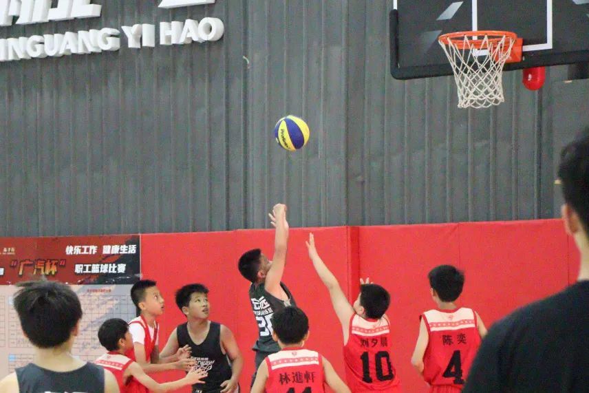 球星齐助阵，球场活力燃丨NYBO春季赛赛场掠影