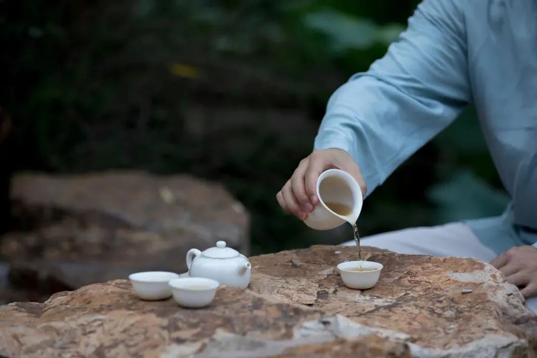 女生茶艺分类,茶艺分类图片大全