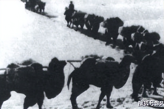 旅蒙商号大盛魁(十一)—大盛魁的营业状况(丁)皮毛药材(上)