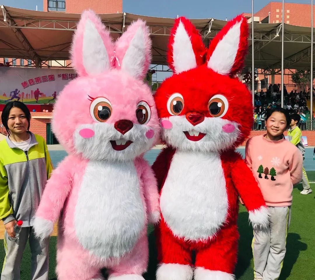 随县第三届“新华杯”中小学生运动会在炎帝学校举行