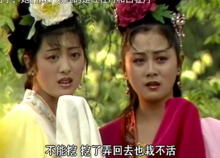 聊斋牡丹仙子菏泽,聊斋牡丹仙子武则天