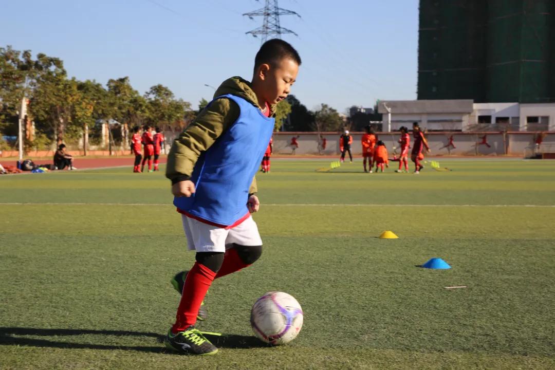 我为群众办实事公益讲堂,我为群众办实事学生版活动方案