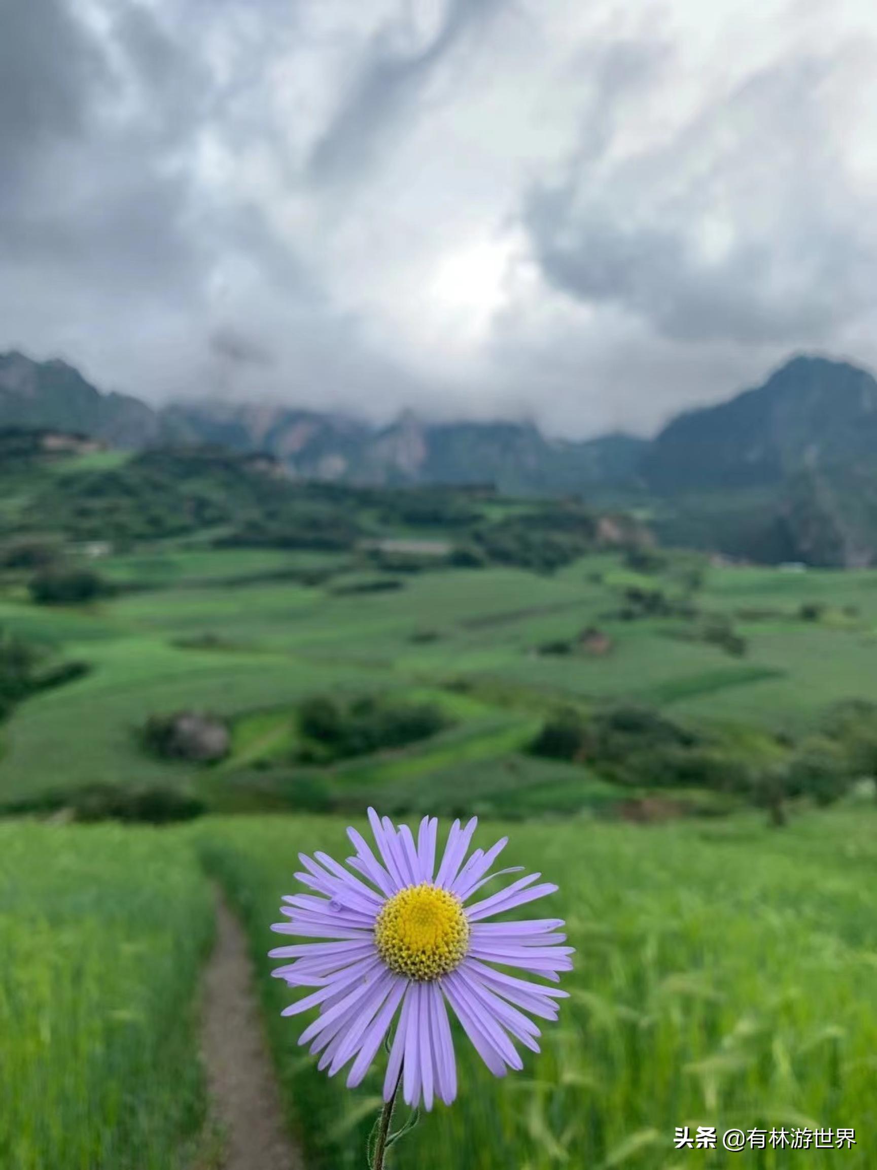 失业两年的旅游人,一个失业在家的旅游业者