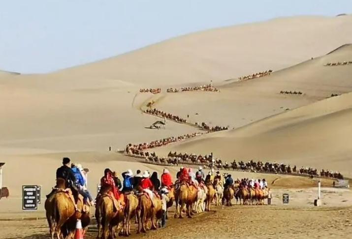 堵骆驼,堵骆驼敦煌骆驼排队上山