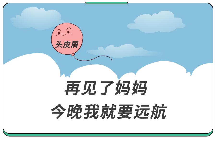 头皮屑是不是因为洗发水的原因,头皮屑多掉发和洗发水有关吗