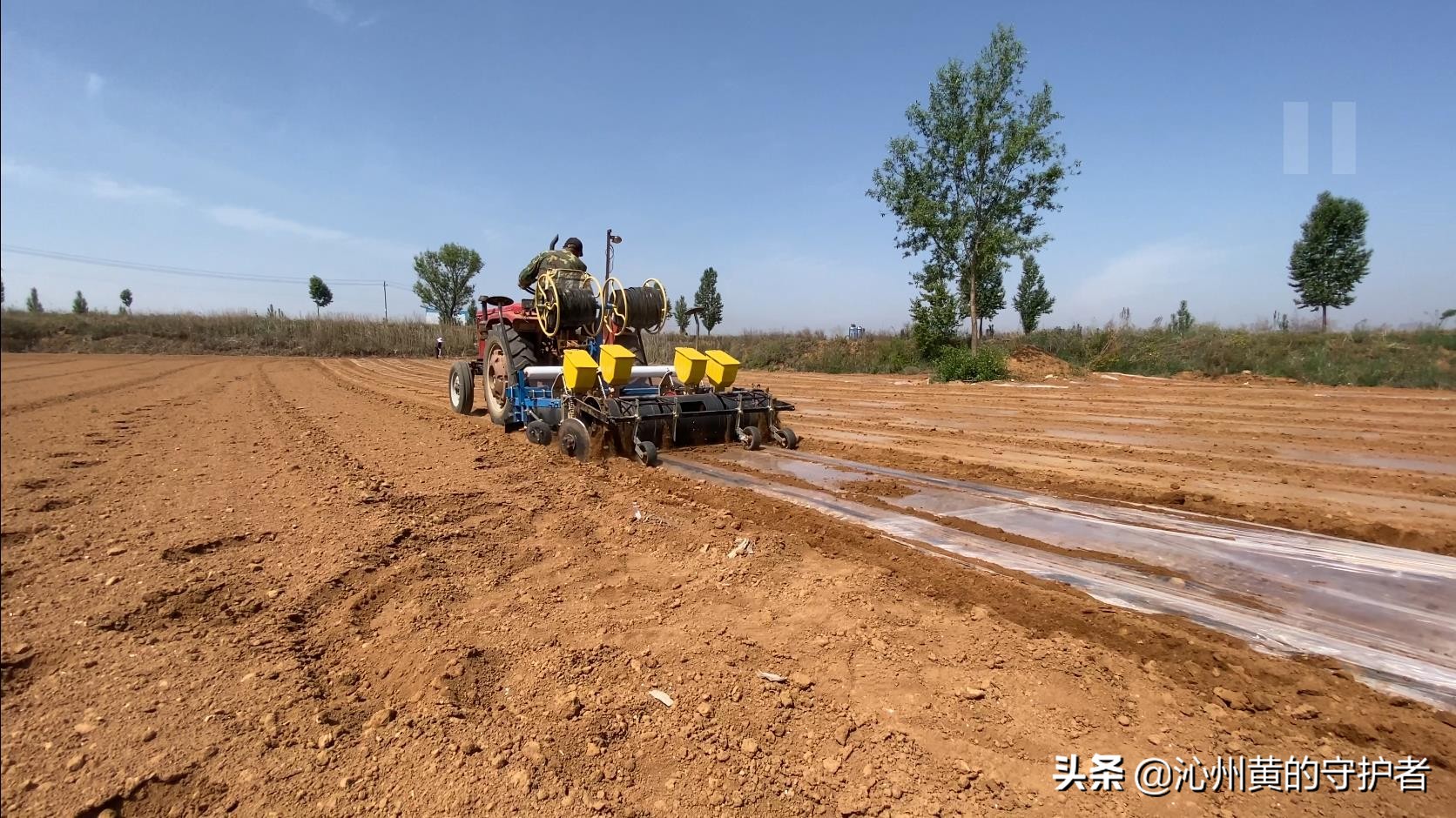 最美职工化身谷子田里“新农人”--公司超千亩连片基地春播掠影