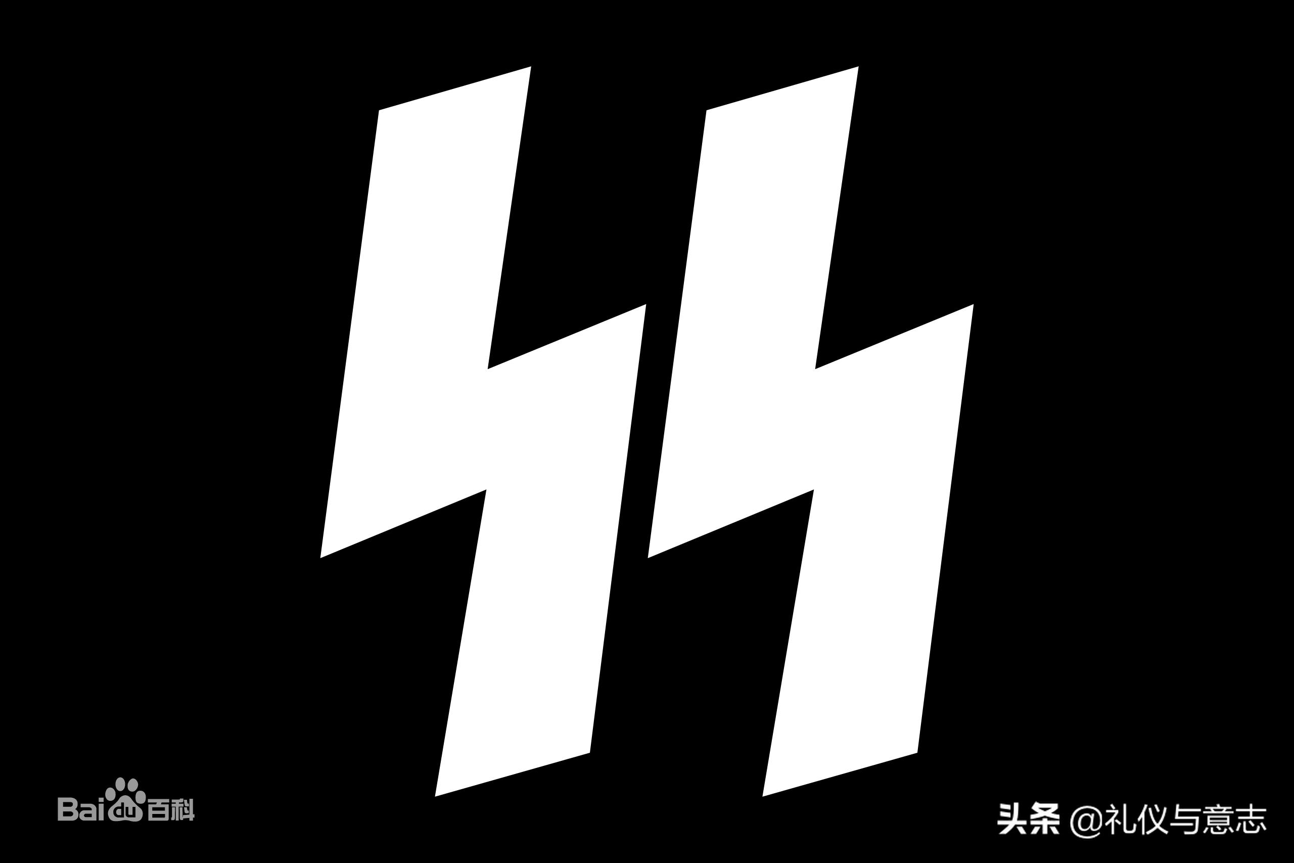 二战中的*党**卫军到底是干啥的