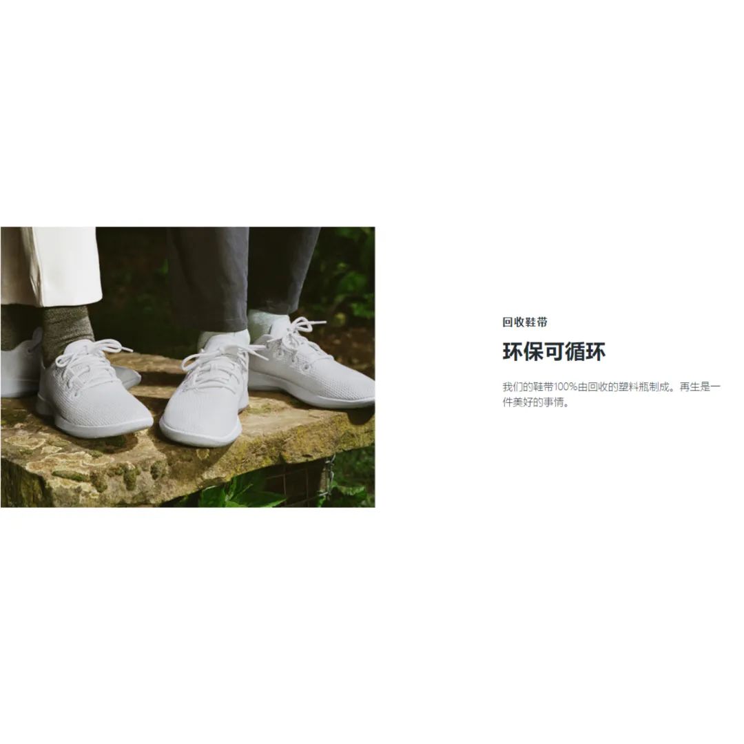 品牌市值逾41亿美元——深入剖析AllbirdsSEO和广告的过人之处