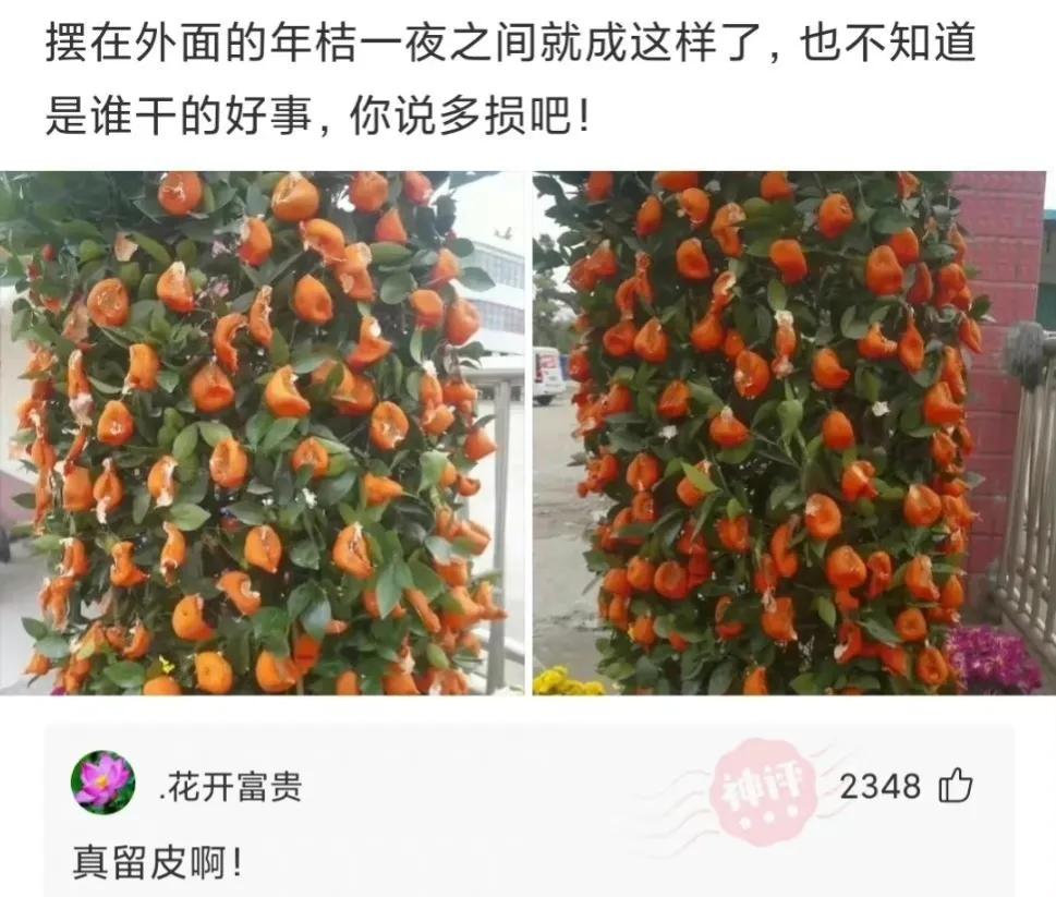 暗号不变江湖再见图片加文字,暗号不变江湖再见下一句是什么