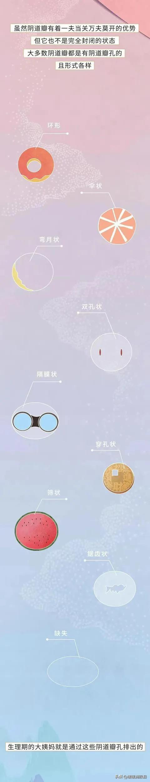 男女性知识科普,成人男性怎么了解性教育