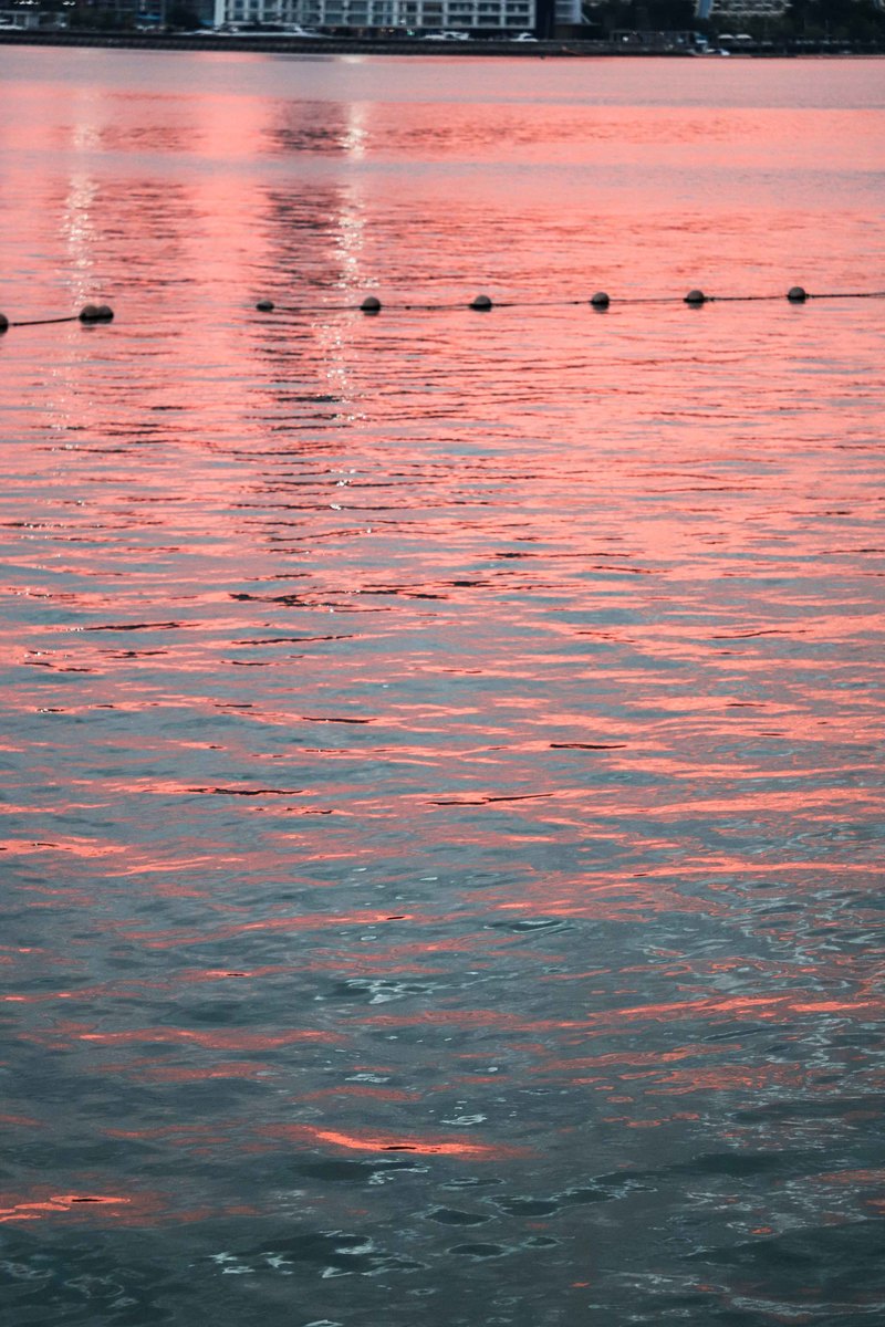 深圳市蛇口攻略,深圳海岛蛇口