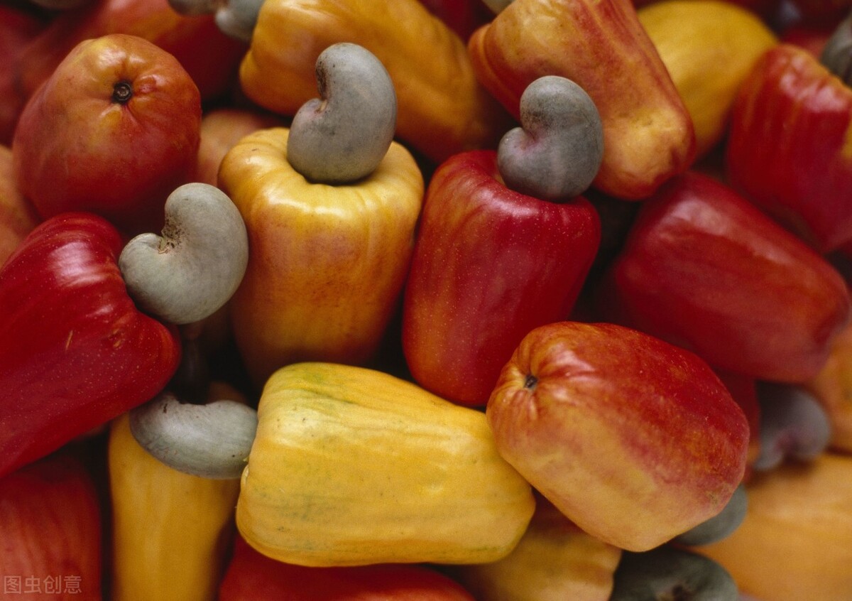 腰果为什么有毒呢,腰果的危害是什么