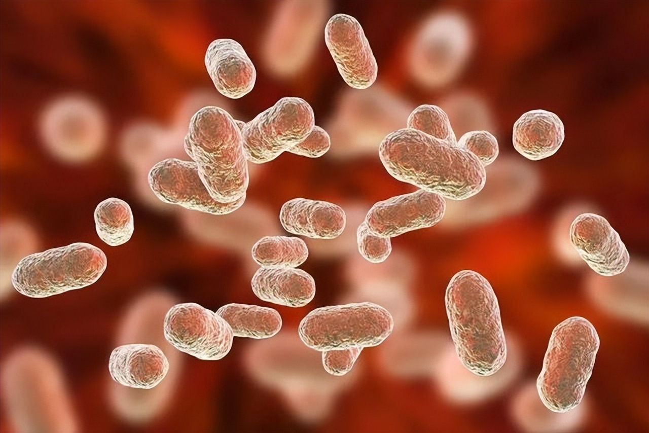 从炎症到癌症三种炎症别拖着,从炎症到癌症一般需要多久