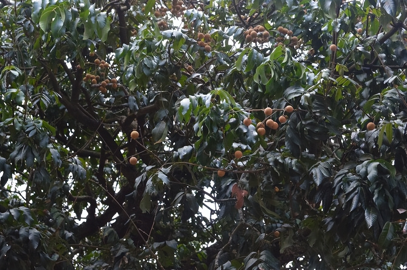 爱上一座城瑜伽版,爱上一座城市完整版电影