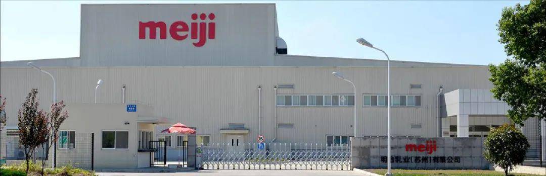 日本明治初期的国际收支,明治日本财政收入