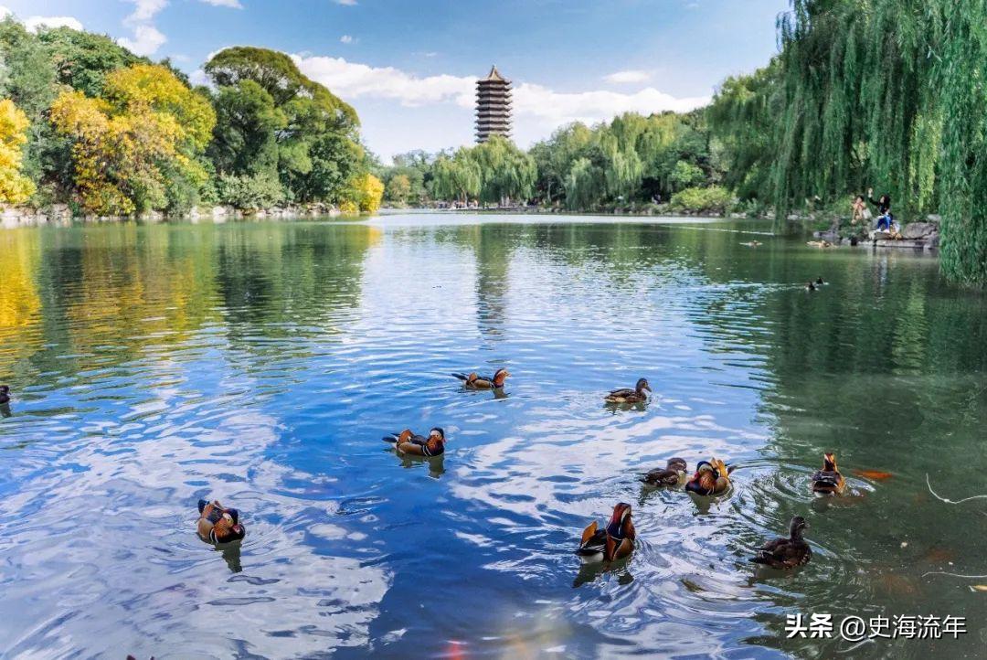 上海部分高中211录取率排名,上海985录取率高中排名