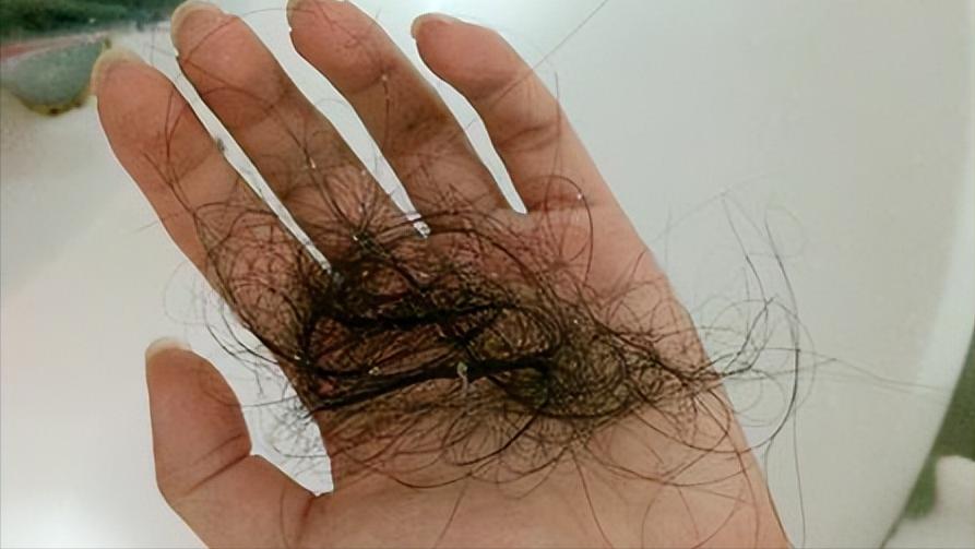 阴毛有什么用，要不要刮掉？阴毛的变化可能暗示什么疾病？望了解