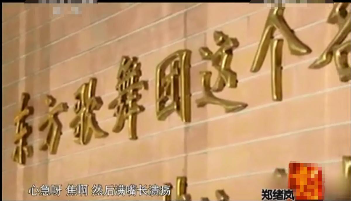 郑绪岚成名作北京卫视,郑绪岚如今有工作吗