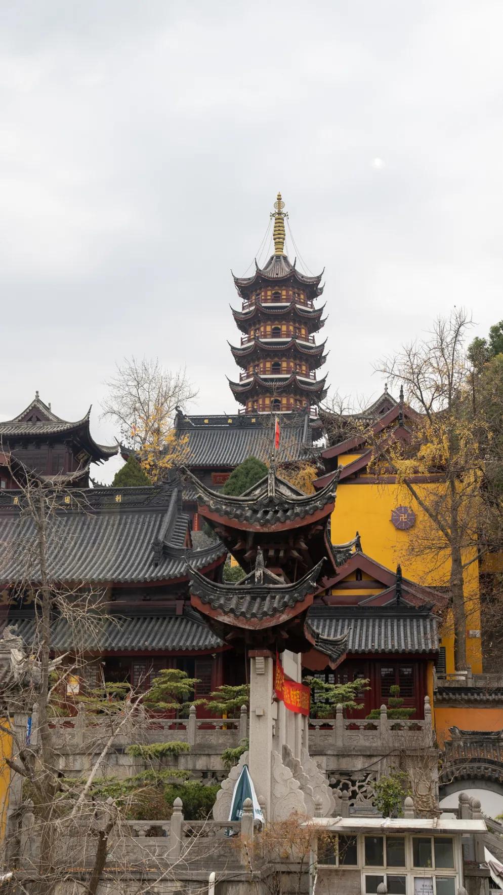 相约博物馆的感受,古生物博物馆南京