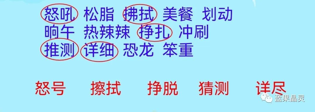 四下语文:第2单元课本内容(复习+练习)