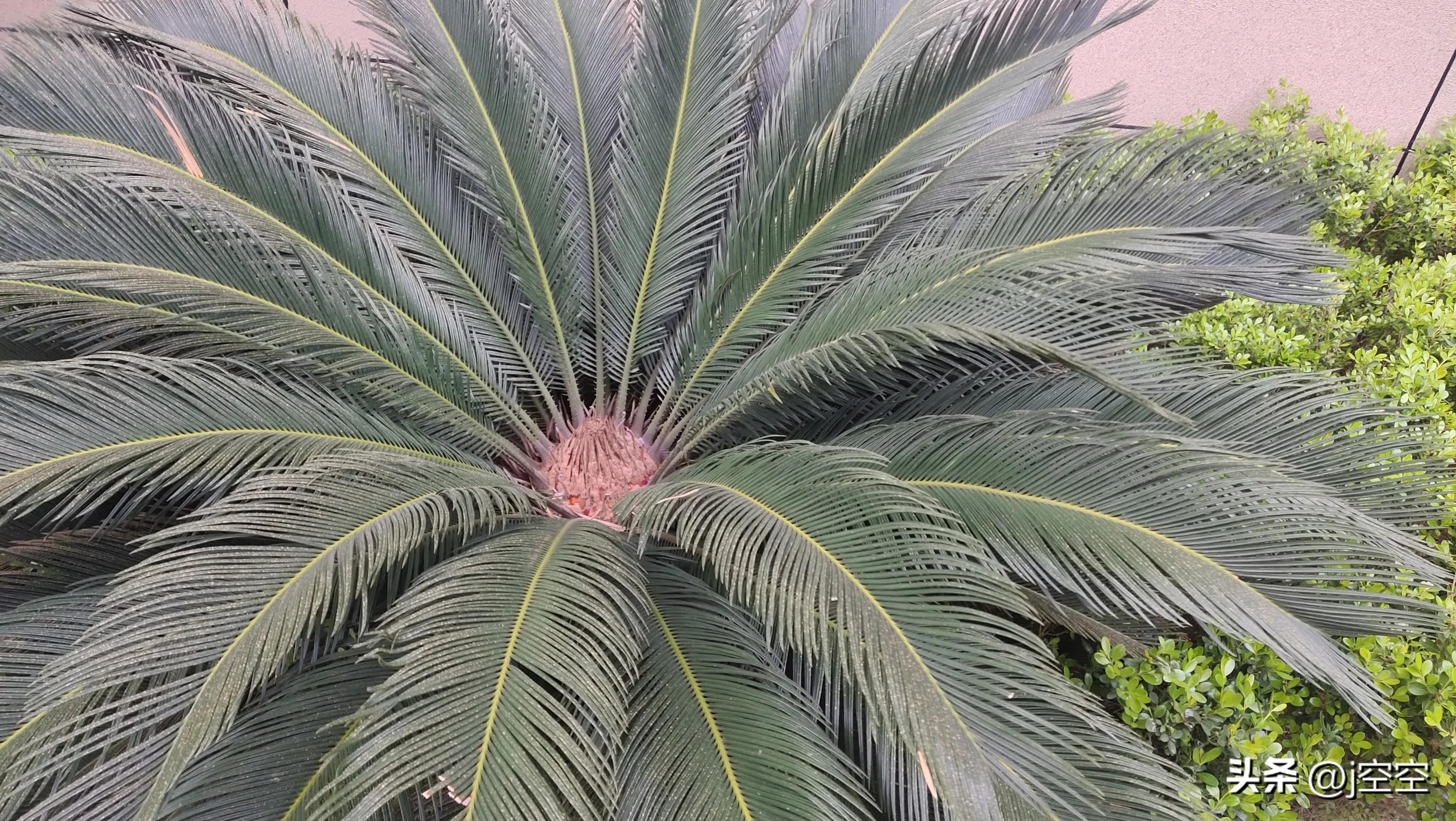 怎么对付楼上邻居恶意制造噪音,楼上的邻居噪音太大怎么解决