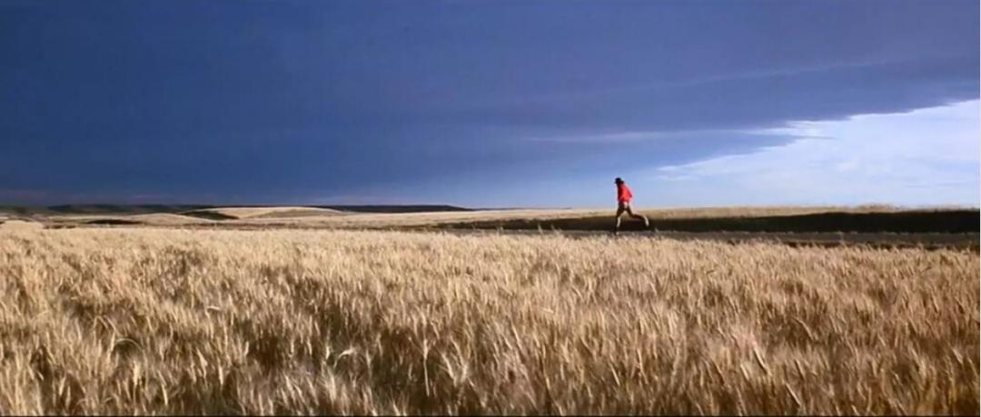 新锐基金经理,新锐基金经理成功案例