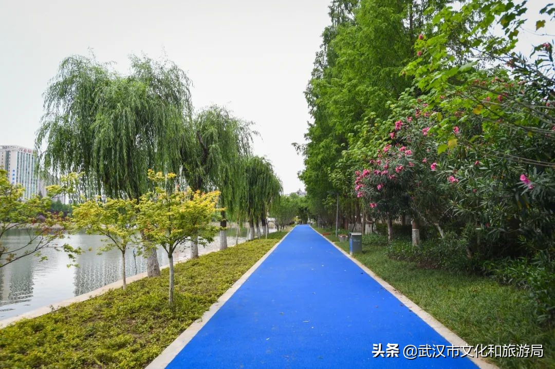 焕新乐园未来5年规划,湿地公园改造前后对比