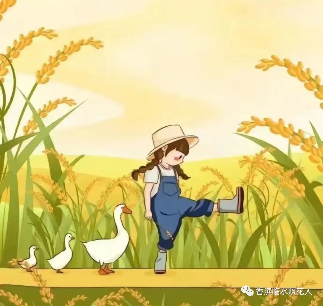 第十届创新作文大赛获奖作文,第十五届创新作文大赛作文题目