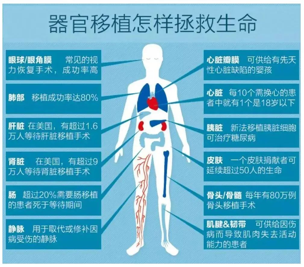 你的健康值多少钱图片,你的健康值多少钱