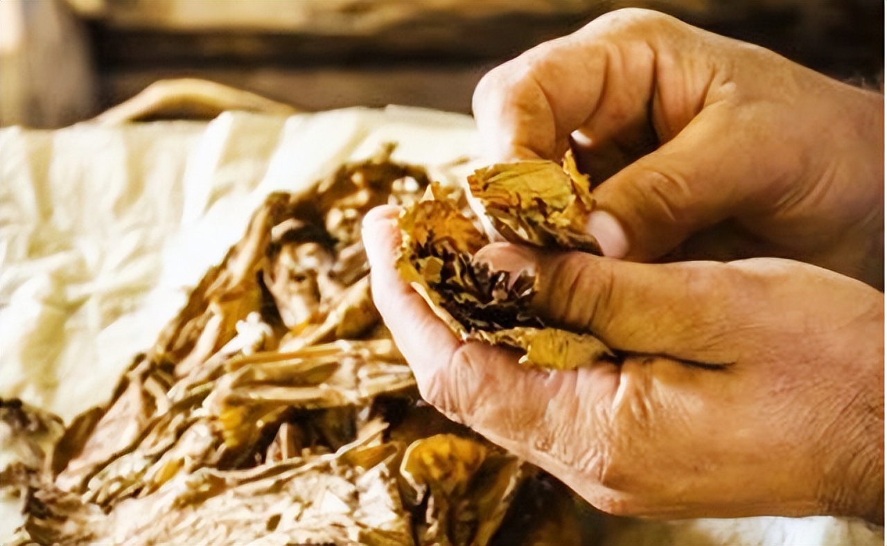 草烟的危害大还是纸烟危害大,草烟坏处