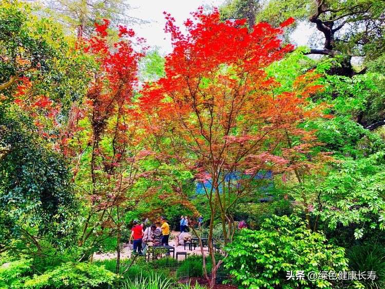 世界花园风景,世界花园