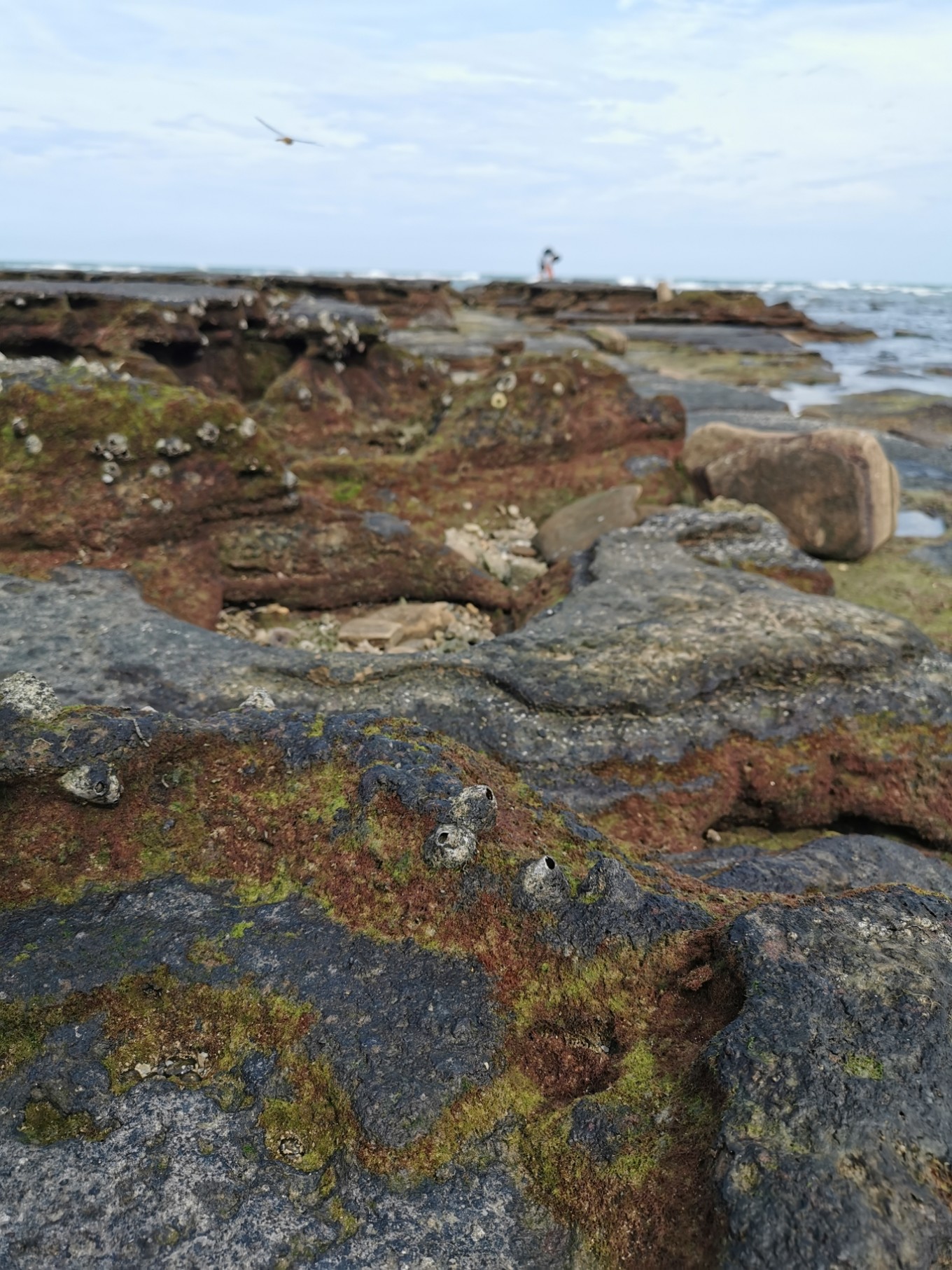北海是一座令人向往的城市吗,北海是浪漫的城市