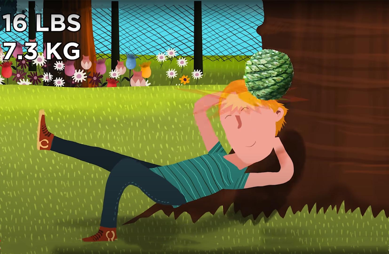 世界上最危险的十种树排行完整,史上最危险的4种树