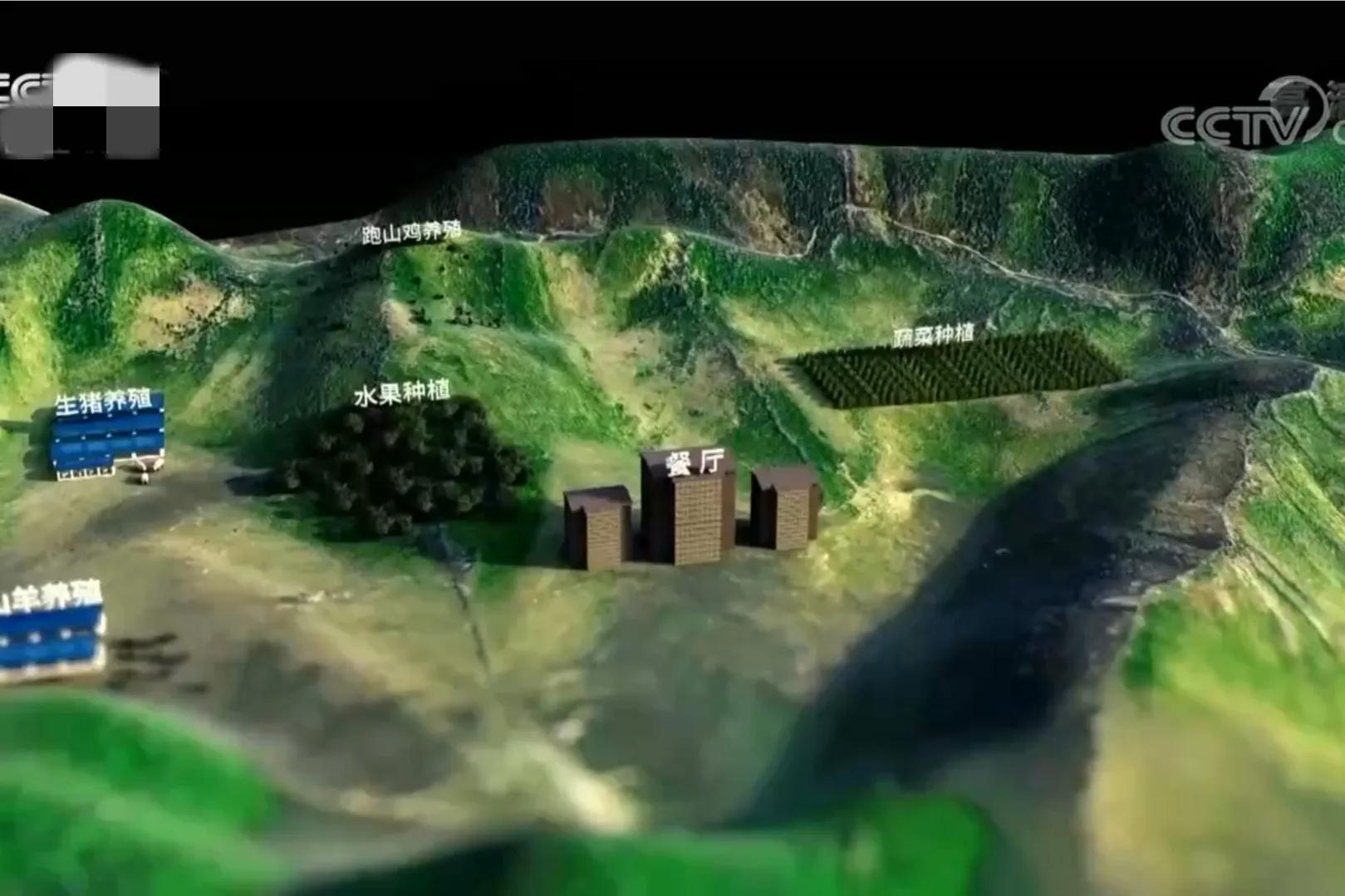 男子承包千亩荒山只为养十只鸡,湖南男子承包50亩山养十只鸡