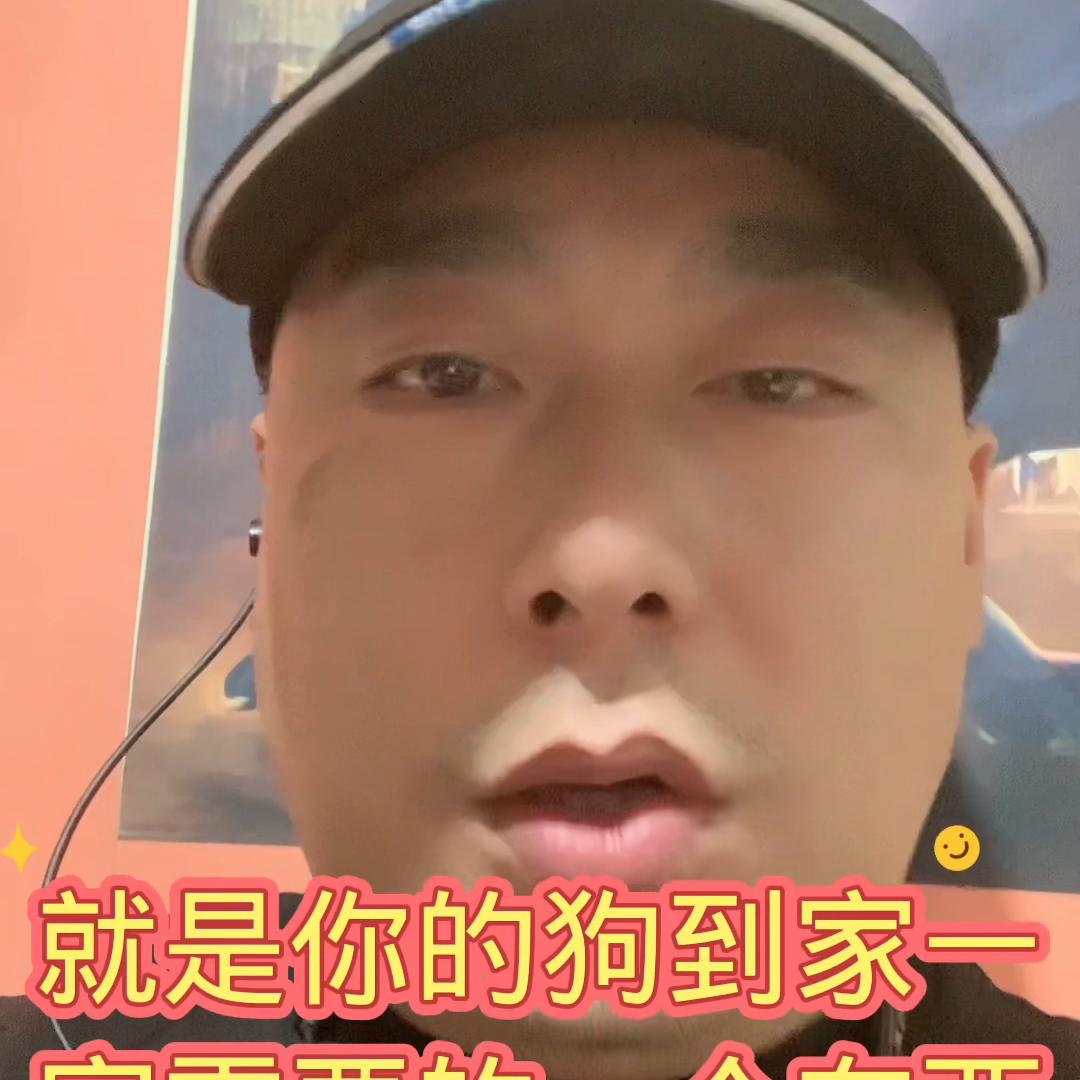 新买的狗到家，预防应急是关键！家中常备肠胃宝，轻松养...