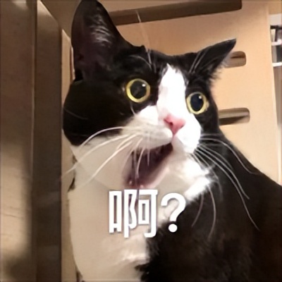 无接触式马桶,九牧浴室柜和马桶