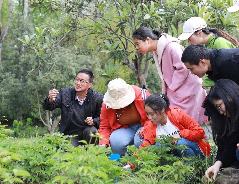 低分捡漏985大学值得吗,适合捡漏的六所985大学