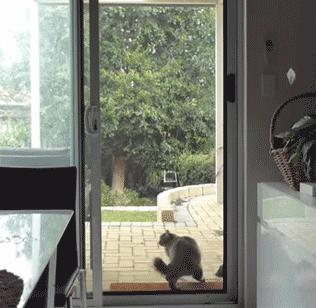 神回复：扔第一颗的时候，日本就是这么想的！神评把我笑死了