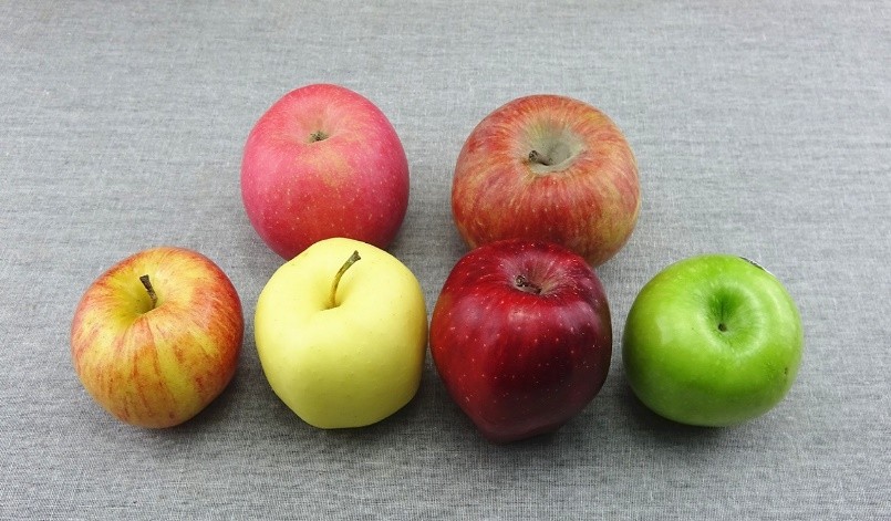 车厘子跟苹果有什么关系,车厘子与苹果的区别