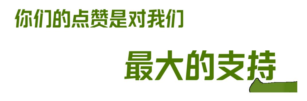 6.11日足球竞彩推荐：精选五场赛事解析，世青季军赛。