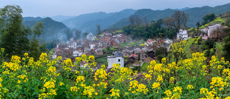 春色满园风景摄影,婺源摄影写真