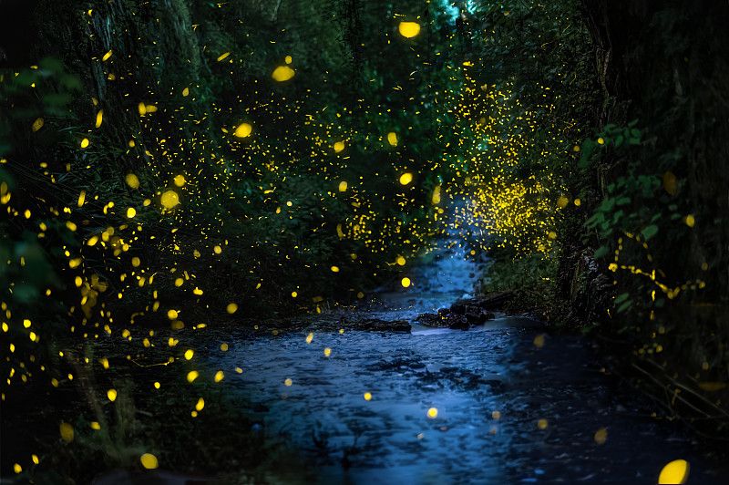 江浙沪附近避暑民宿,夏天莫干山性价比民宿推荐