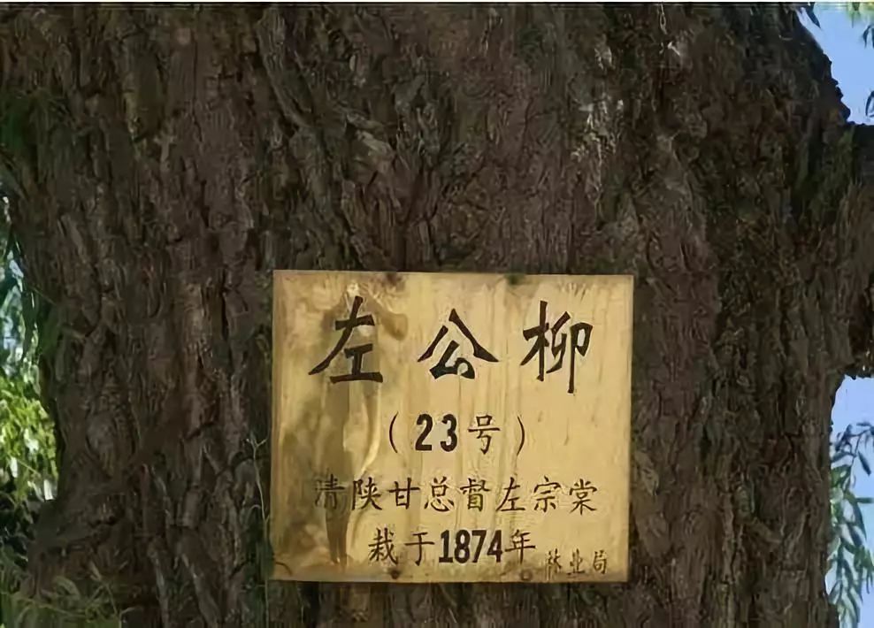 踏迹寻音,寻访嘉峪关