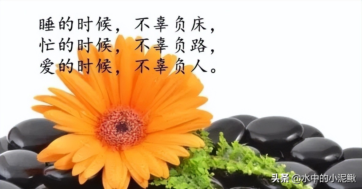 早安励志语录简短的句子有哪些,早安语录励志句子短句有哪些