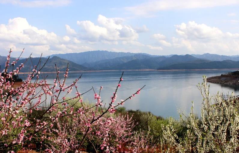 一分钟读懂桃花源记,真正厉害的人都是看得懂文言文的