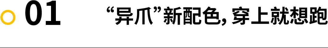 马拉松装备已备齐备战中,马拉松装备跑鞋