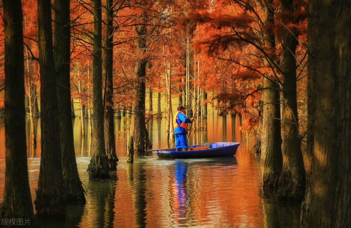上海游玩免费景点推荐,上海推荐逛的免费景点