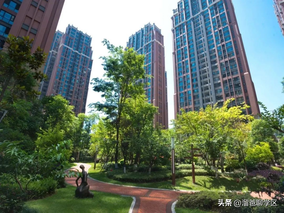 石室教育集团,成都石室中学教育集团学校