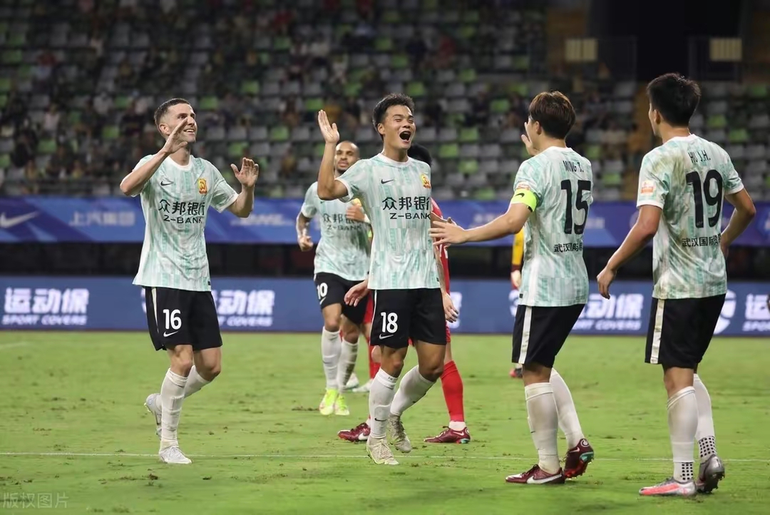 足协双标处罚结果,足协双标引发争议